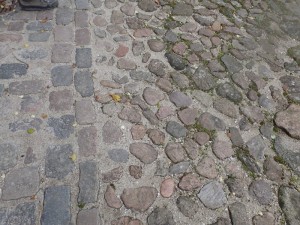 PA240167_800x600